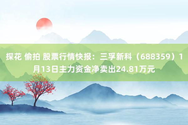 探花 偷拍 股票行情快报：三孚新科（688359）1月13日主力资金净卖出24.81万元