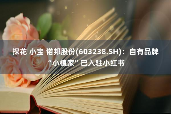 探花 小宝 诺邦股份(603238.SH)：自有品牌“小植家”已入驻小红书