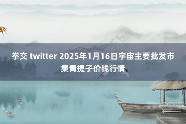 拳交 twitter 2025年1月16日宇宙主要批发市集青提子价钱行情