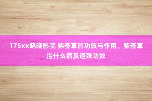 175xx晓晓影院 豨莶草的功效与作用，豨莶草治什么病及迥殊功效