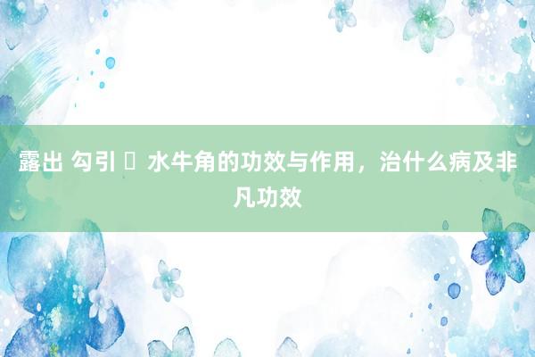 露出 勾引 ​水牛角的功效与作用，治什么病及非凡功效